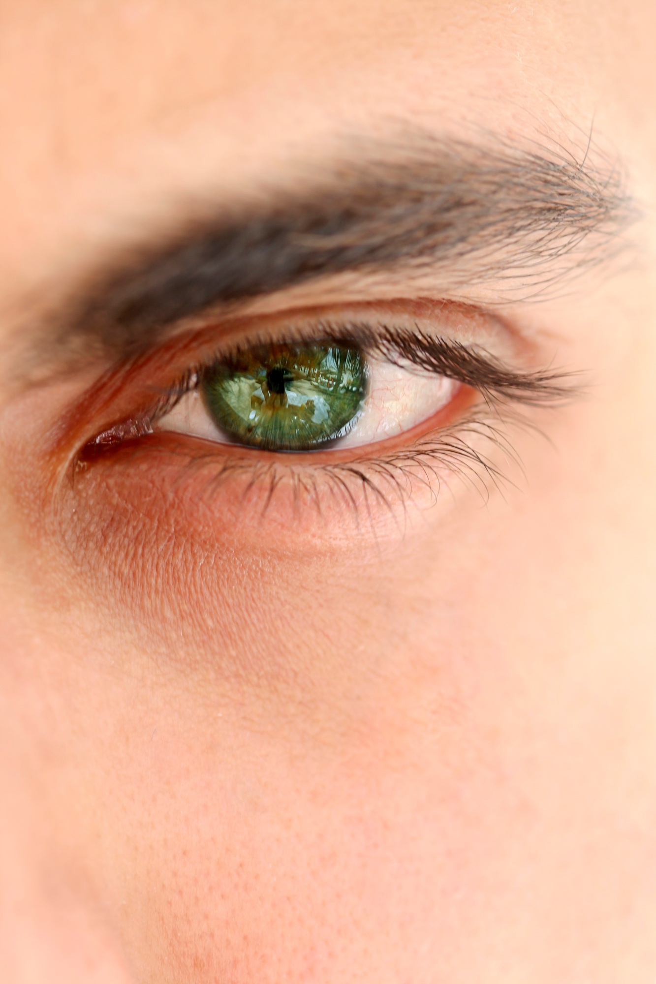 Closeup on a man eye. Green eye color.